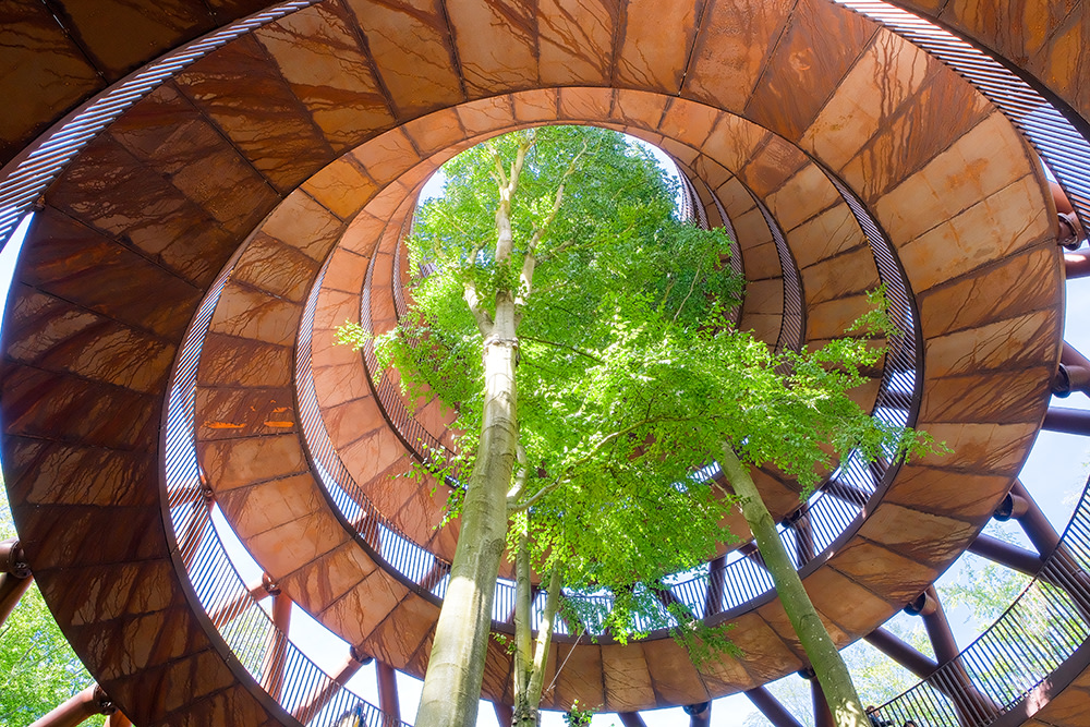 Green circular workplace